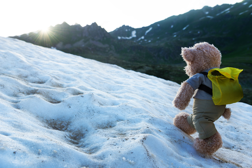 Top 10 Worst Stock Photos for Your Marketing 08 - bear on the go climbing mountain