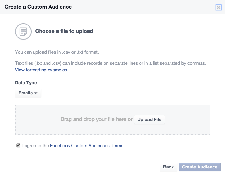 Facebook Custom Audiences